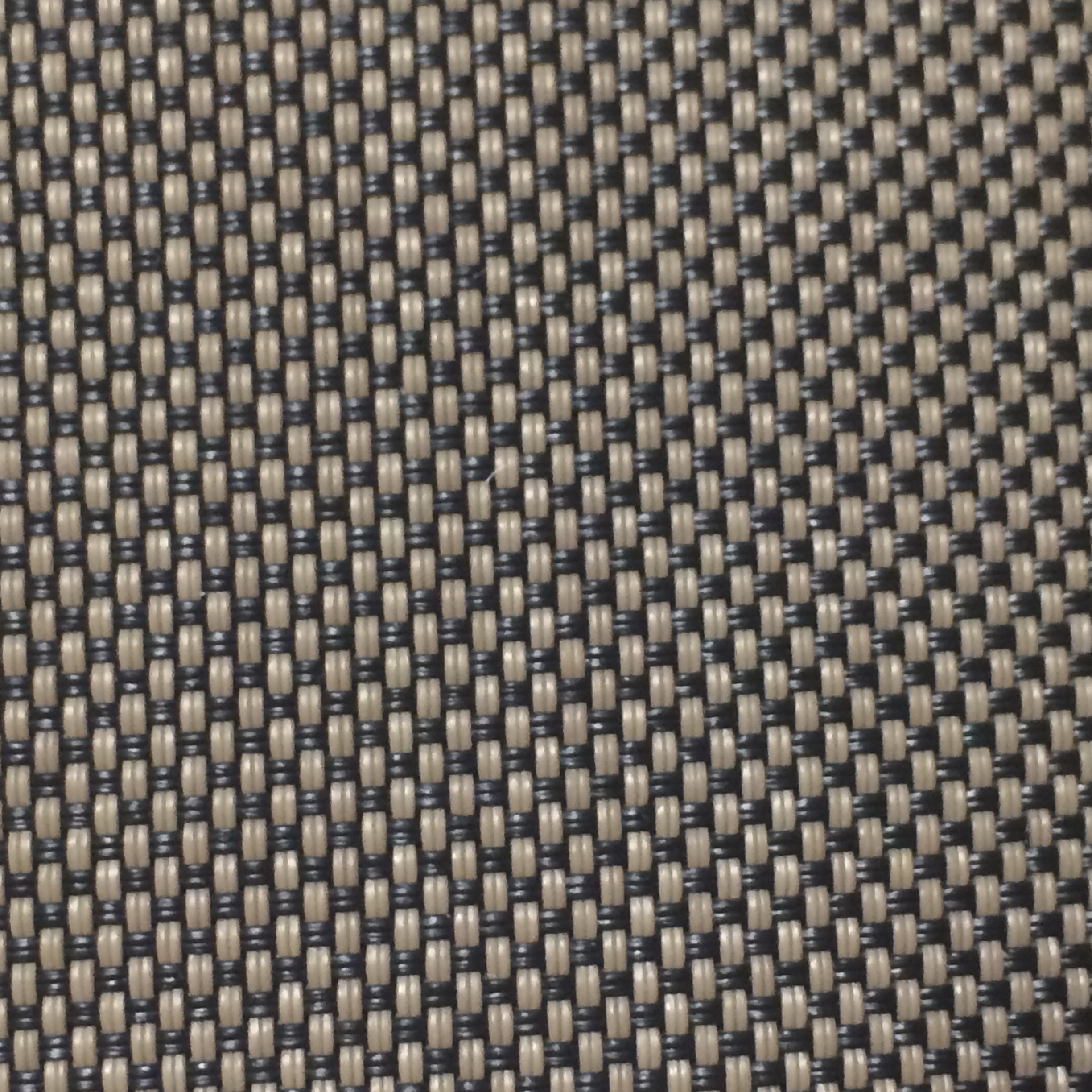 009 Ebony/Cappuccino