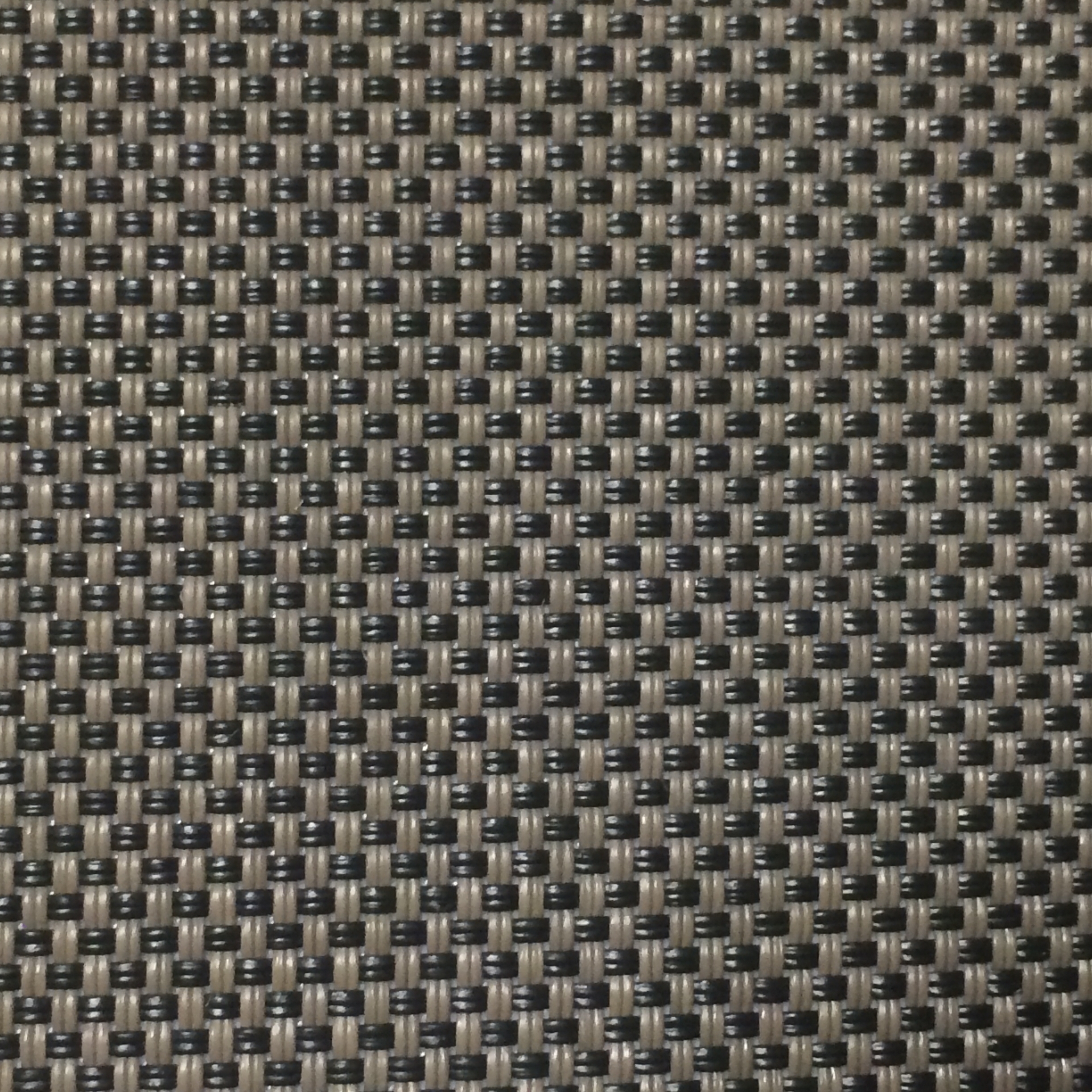 010 Ebony/Mocha