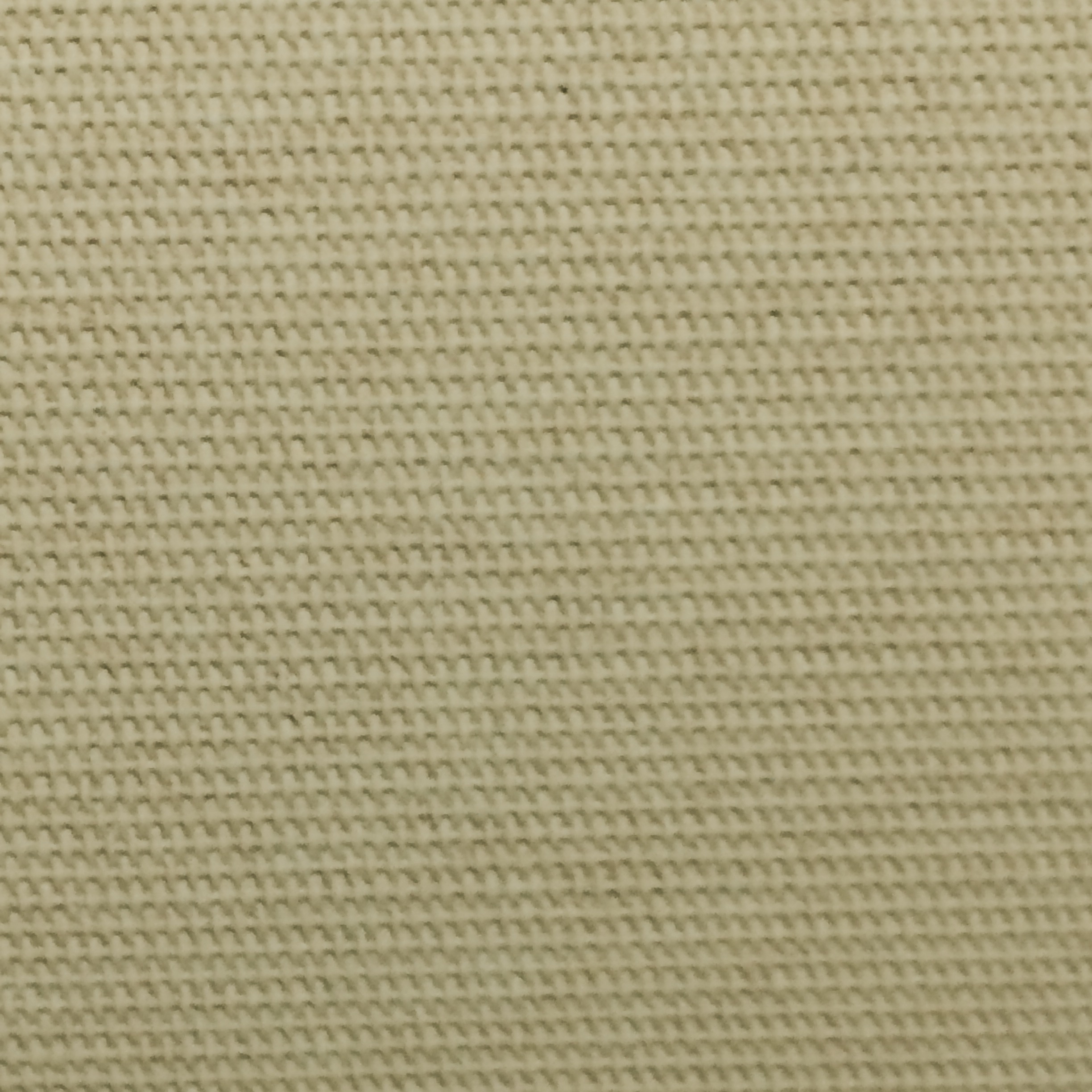 005 Camel