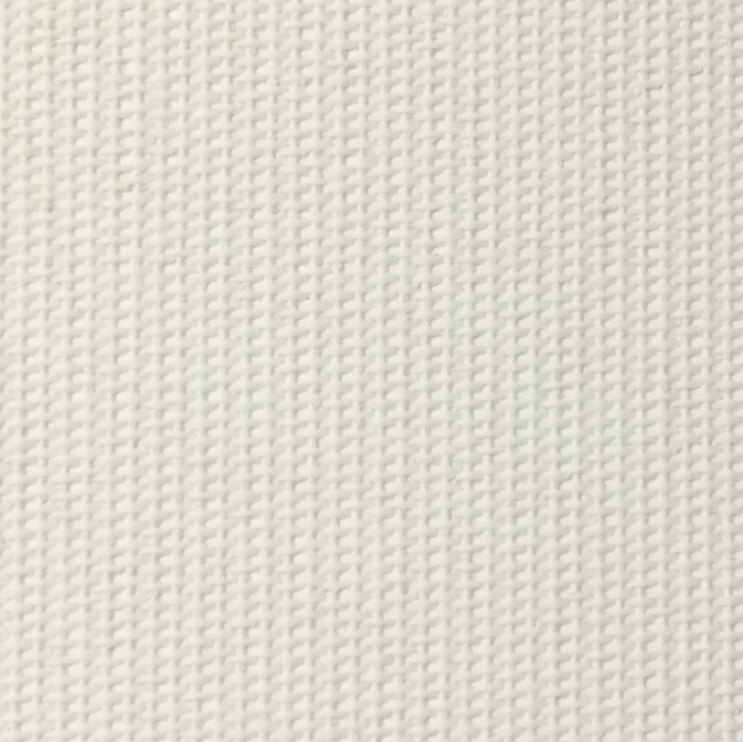 003 Ivory
