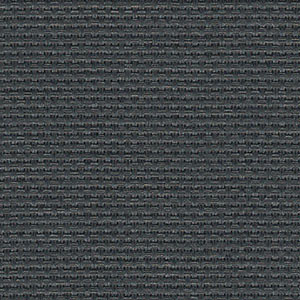 V21 Charcoal