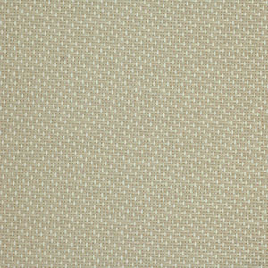 P13 Oyster/Beige