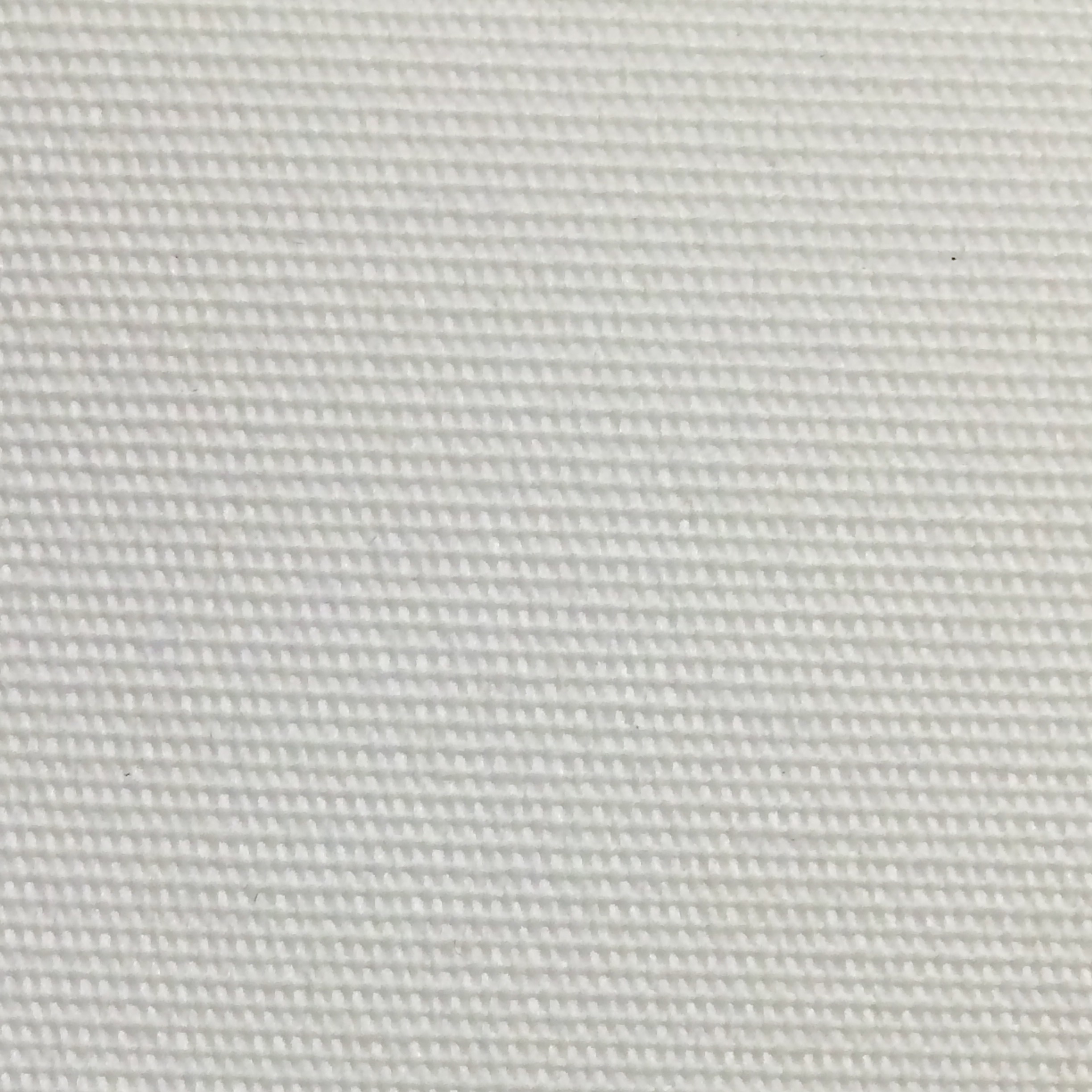 P62 White