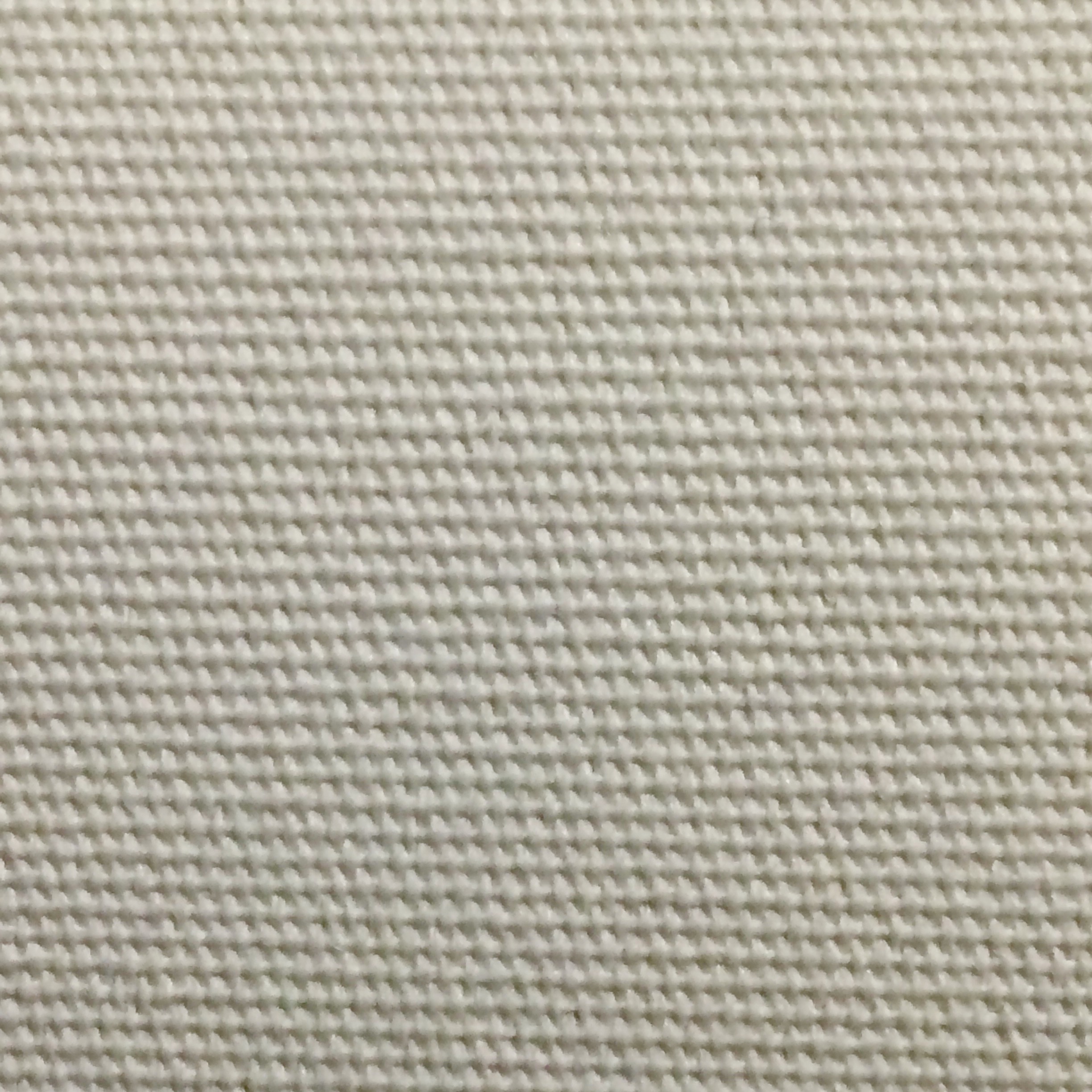 B63 Birch