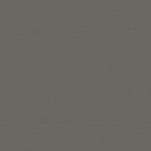 Pewter Back
