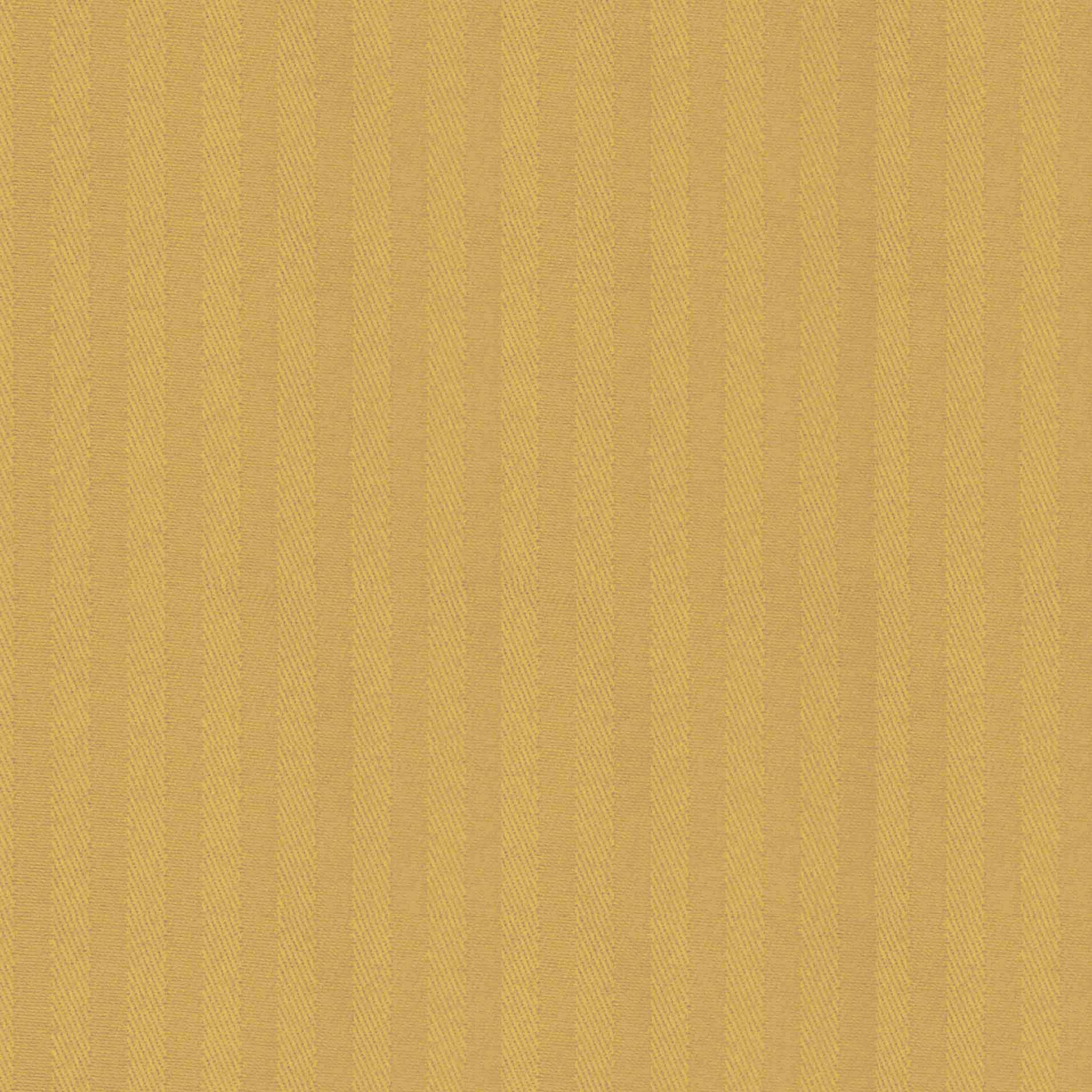 Chamois