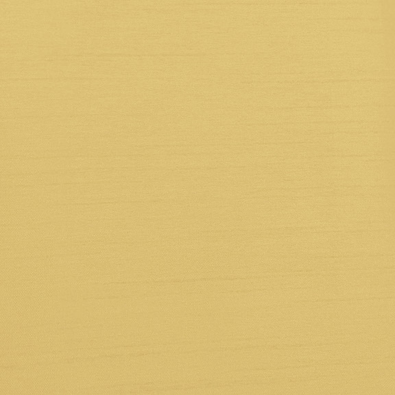 Mimosa