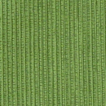 Fern