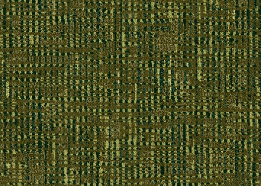 255