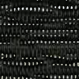 61 B2-Coffee Bean