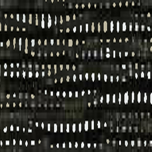 61 P1-Clove