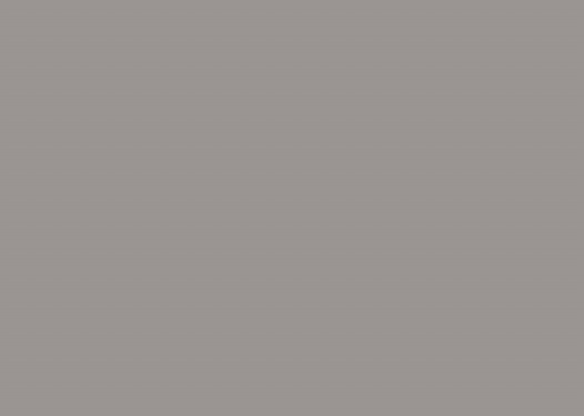 Silver Suede