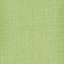 Celery