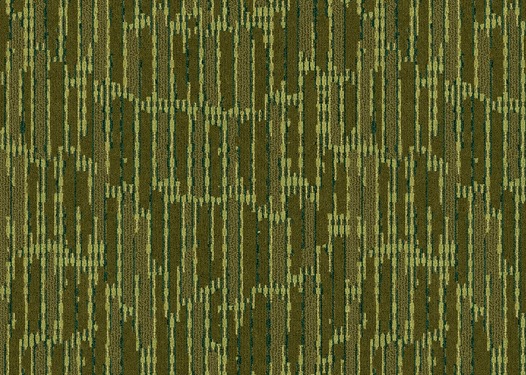 255