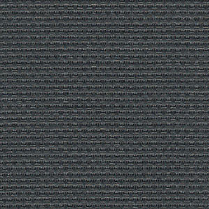 V21 Charcoal
