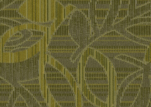 255