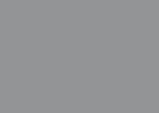 Silver Suede